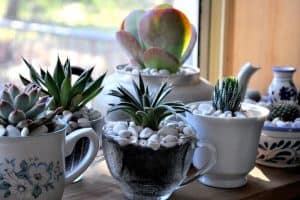 homedesignrev.com