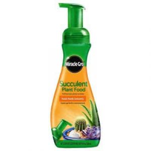 fertilizer succulent grow