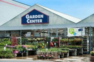 garden outdoor
