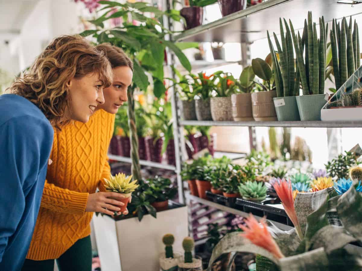 Two women shopping succulents in a store.