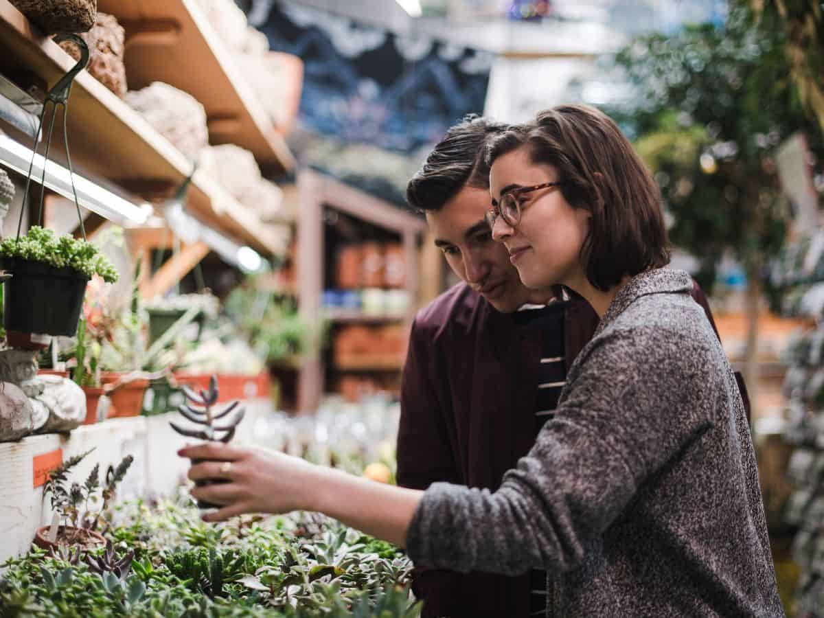 Young couple picking up a succulent in a store.