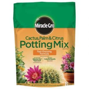 cactus soil in a bag