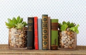 diy succulent project