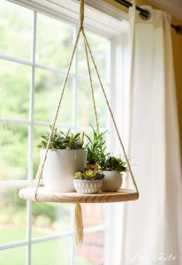 diy succulent project