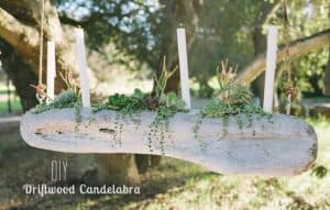 diy succulent project