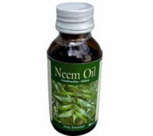 neem oil