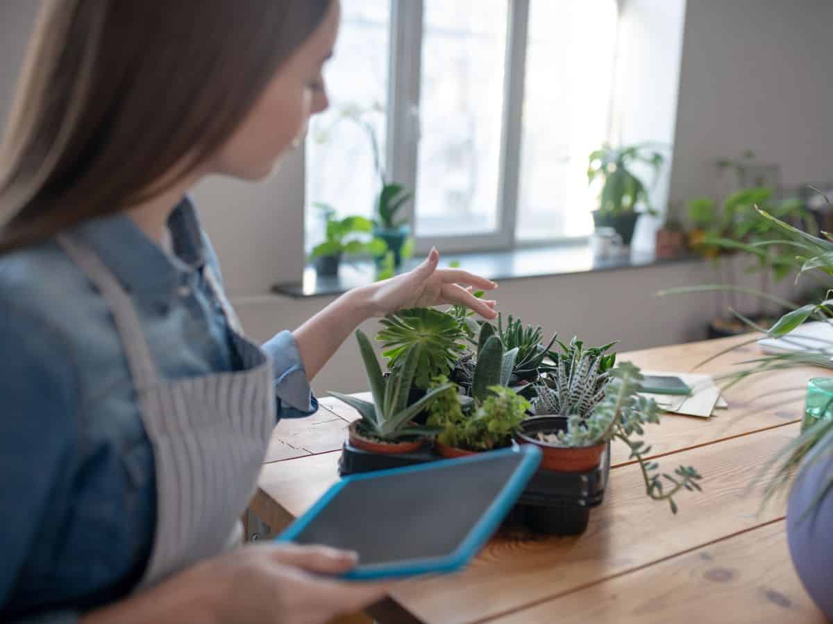 Woman holding a notepad and touching a succulent in a pot.