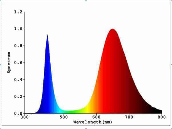 grow lamp scpectrum