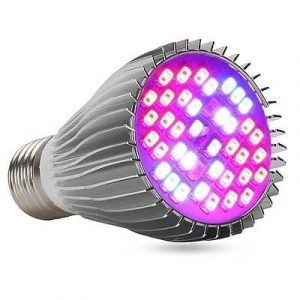 grow light succulent