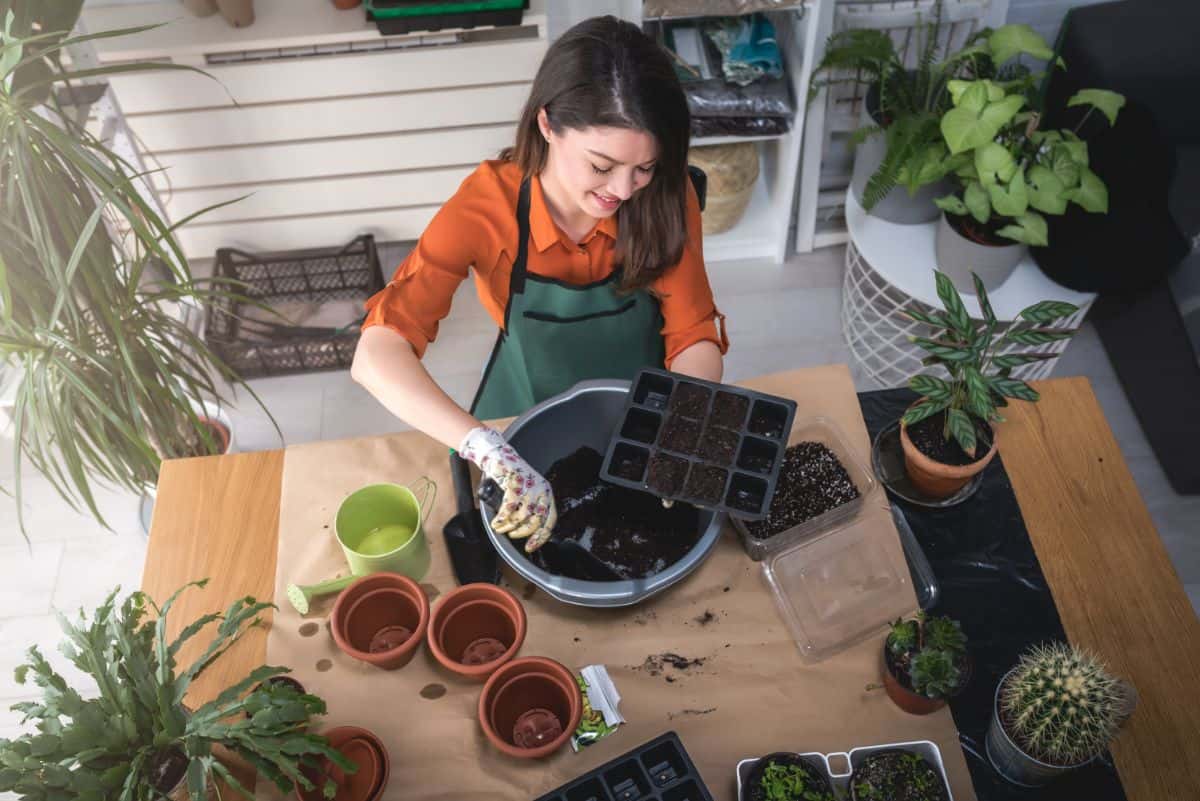 Happy-looking woman planting seeds into a big pot.