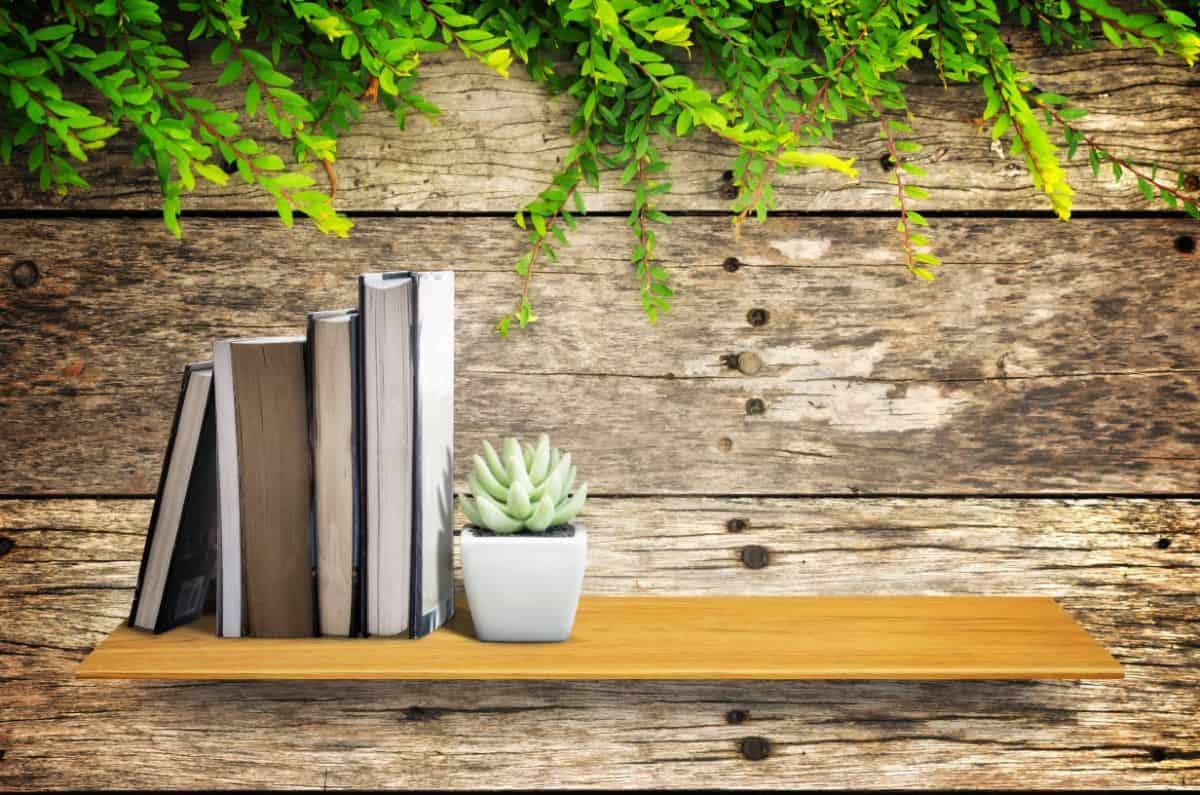 Books, succulent in a pot on a wooden shelf.
