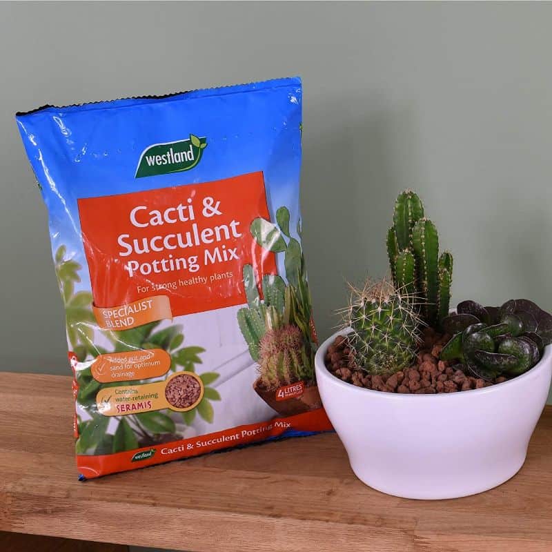 Soil package next to a succulent in a pot on a table.