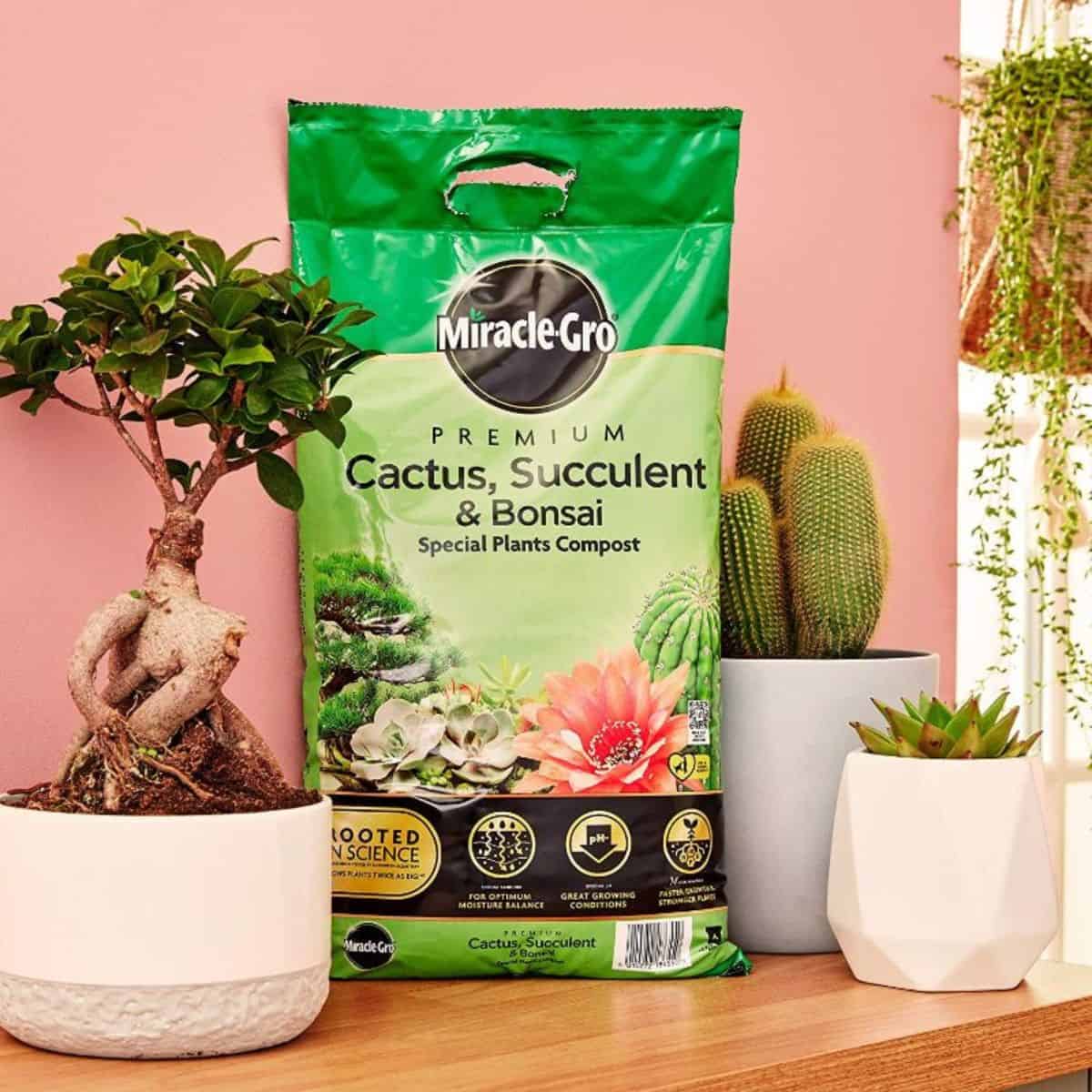 Bonsai soil package.