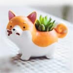 cute planter tools