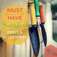 Must Have Succulent Tools and Accessories