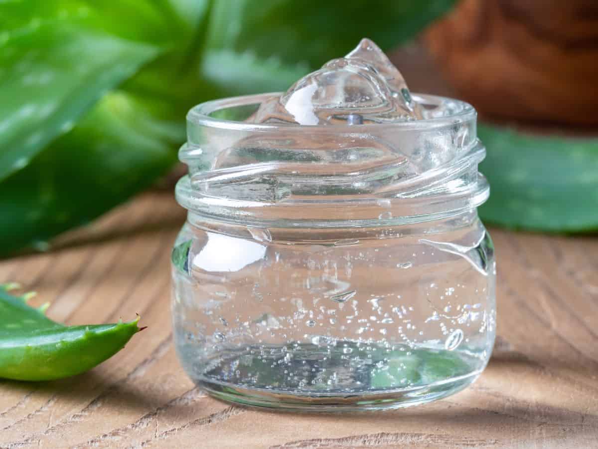 Aloe vera gel in a glass jar on a table with aloe vera leaves.