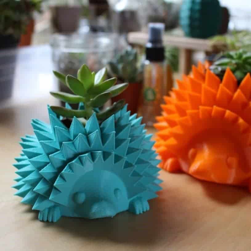 Hedgehog succulent pots.