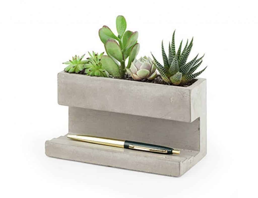 Modern looking succulent pot with plants and pen.