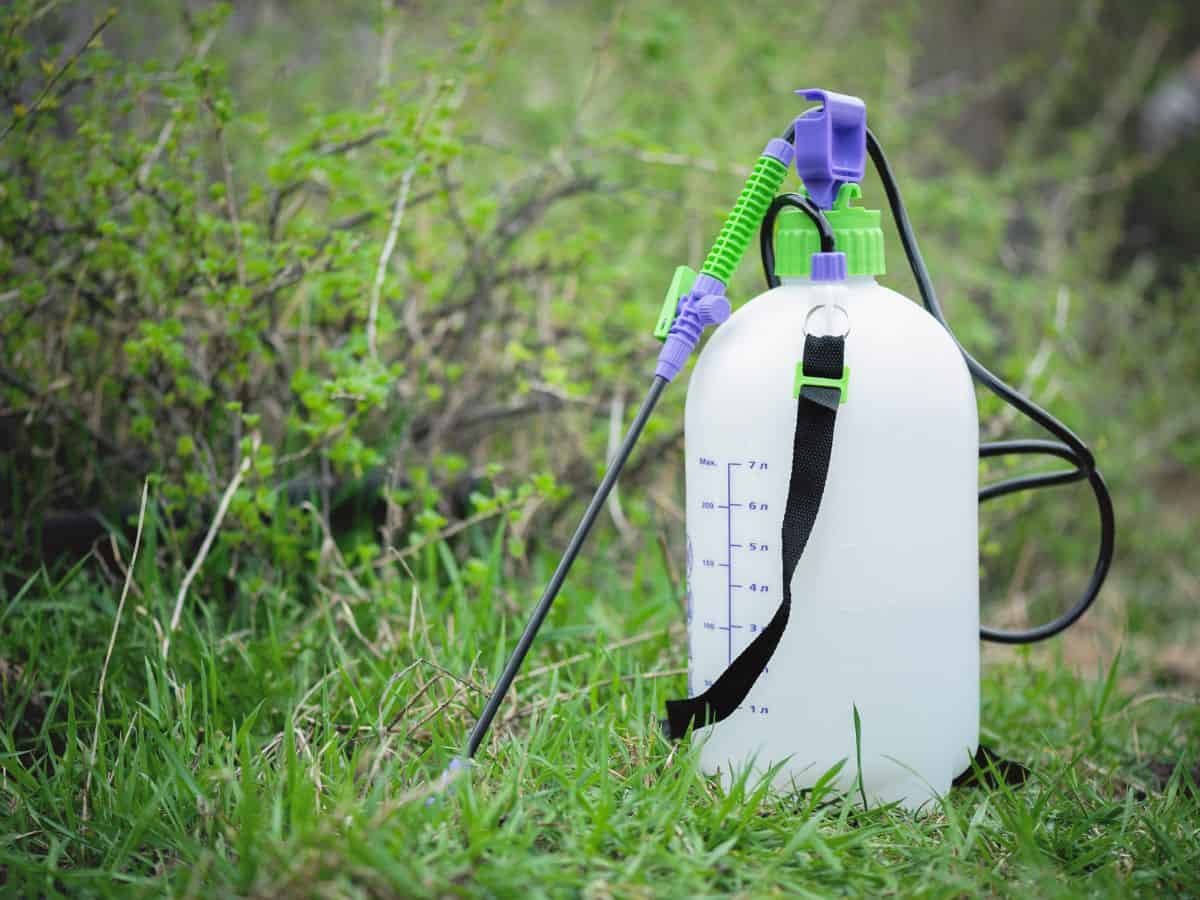 Garden sprayer on a grass.