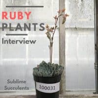ruby plants interview