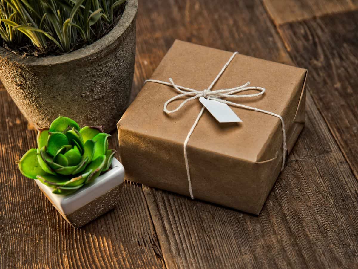 Succulents in pots and box package on a table.