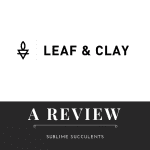 leaf and clay review