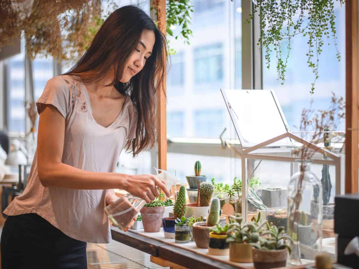 Woman spraying succulents in pots with water.