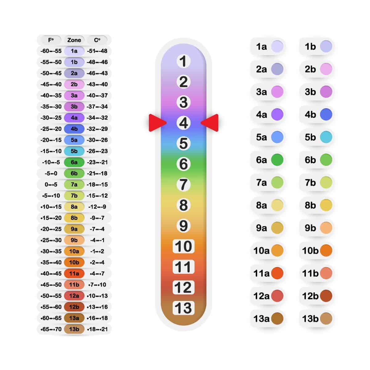 Hardiness zones scale.