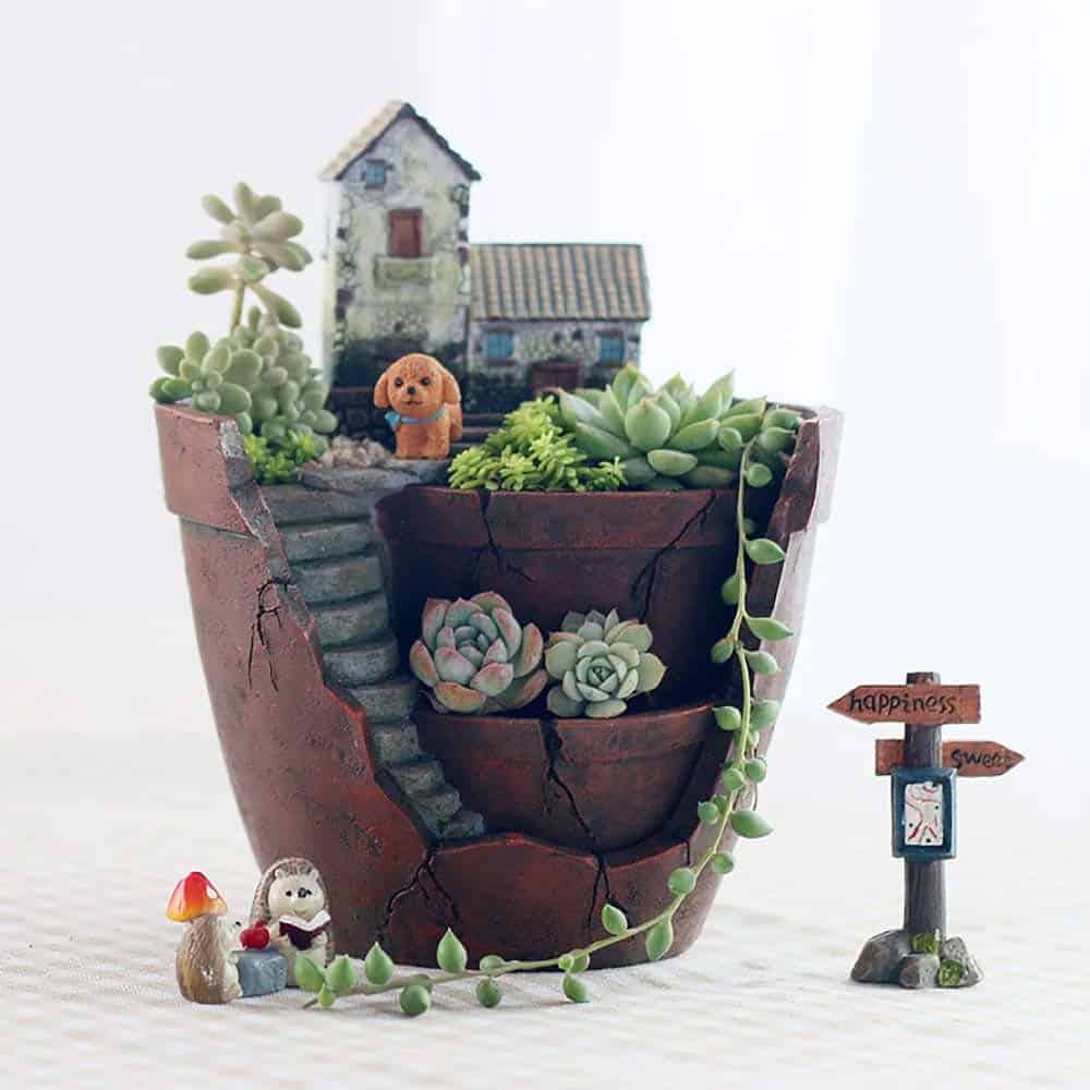 Make a Fairy Garden with Succulents and Cacti