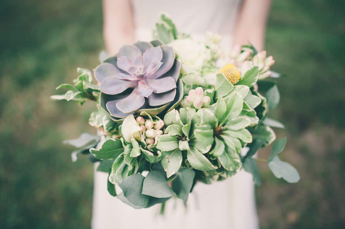 Bride holding a succulent bouquet.