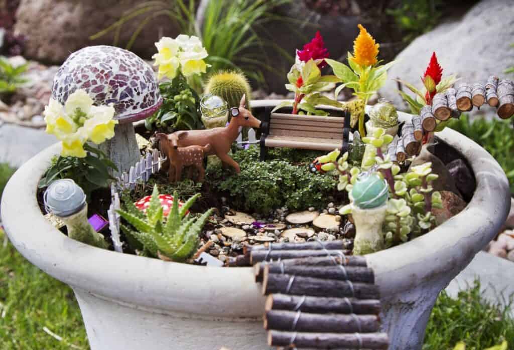 Make a Fairy Garden with Succulents and Cacti - Sublime Succulents