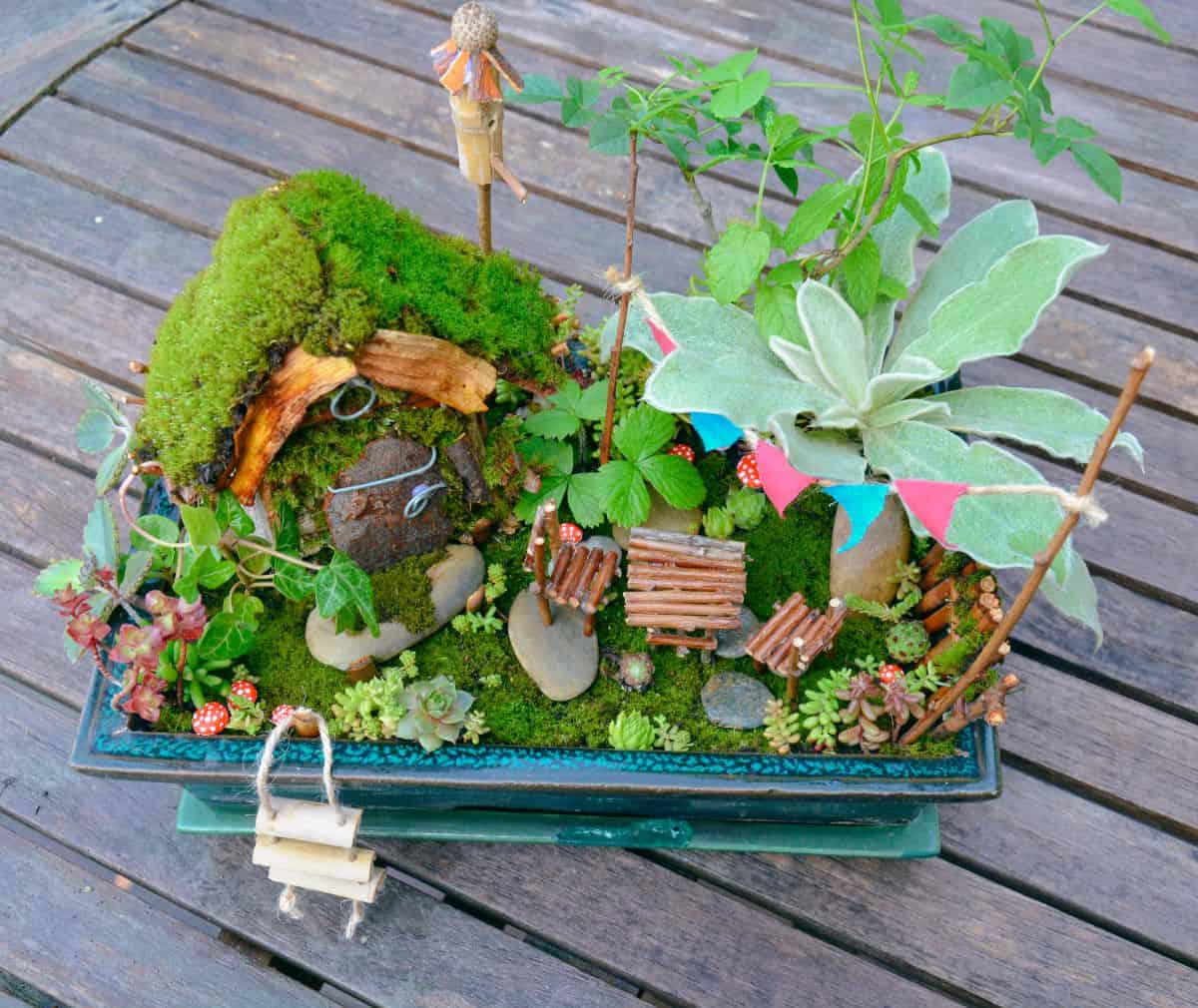Fairy succulent garden on a wooden deck.