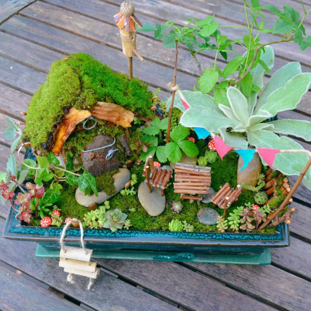 Fairy succulent garden on a wooden deck.
