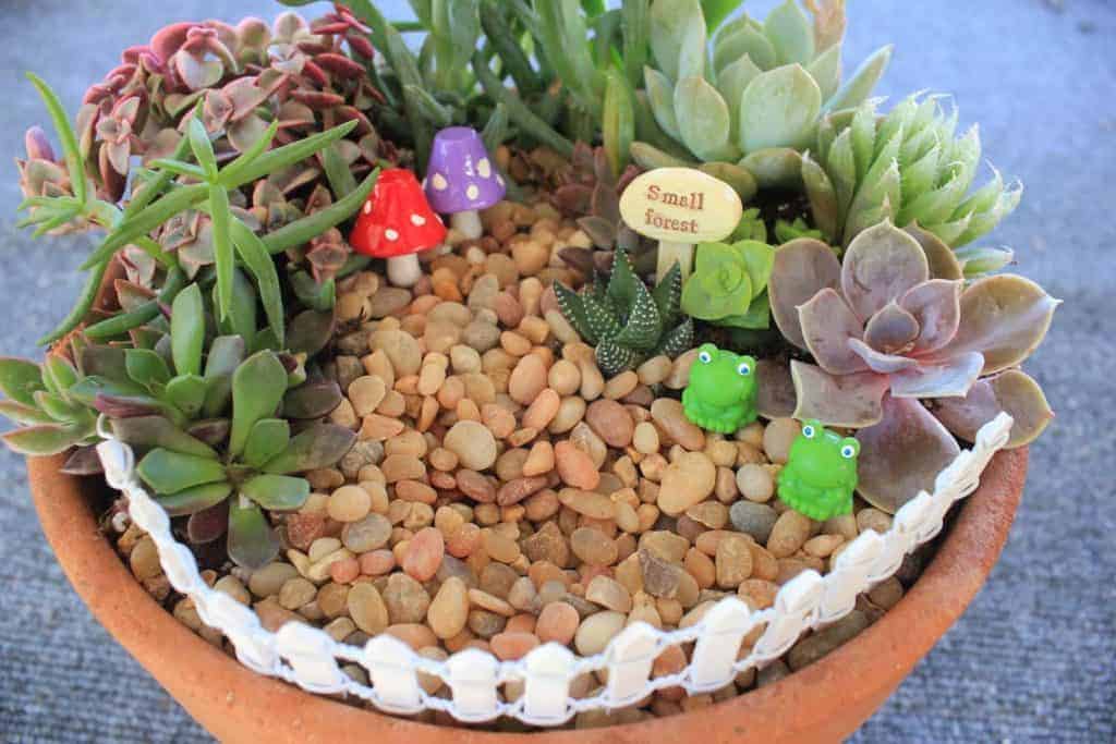 Succulent fairy garden in a pot close-up.