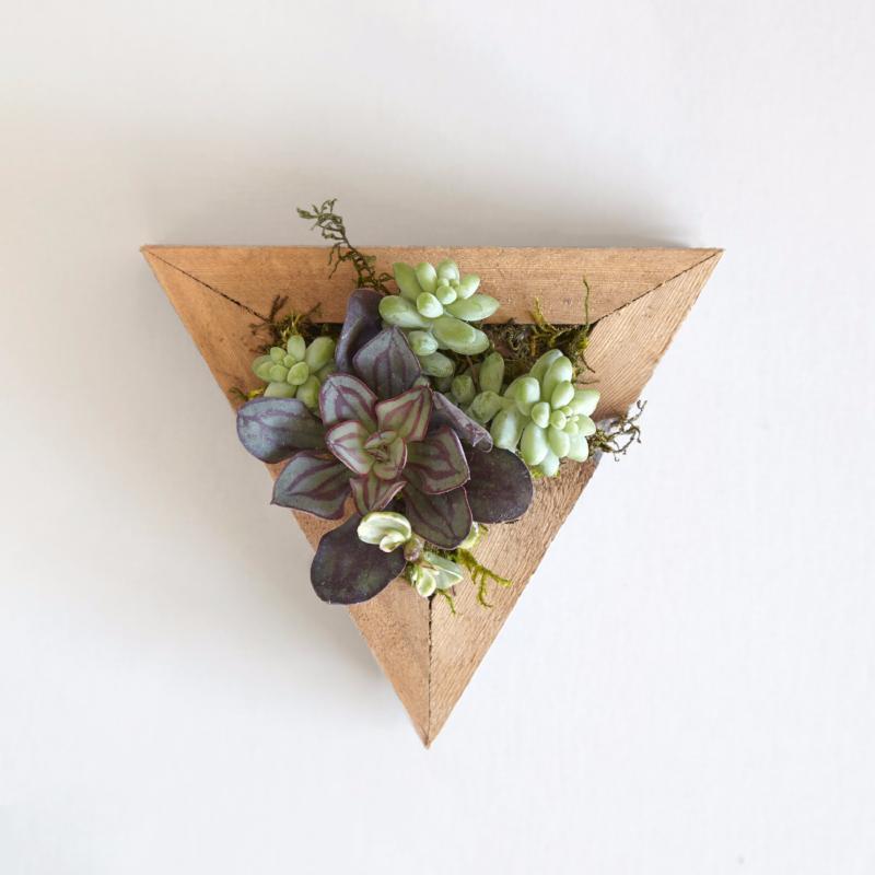 Succulent decor on the wall.