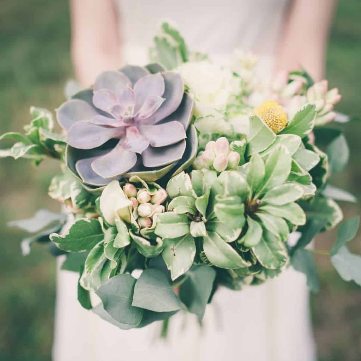 Bride holing a succulent bouquet.