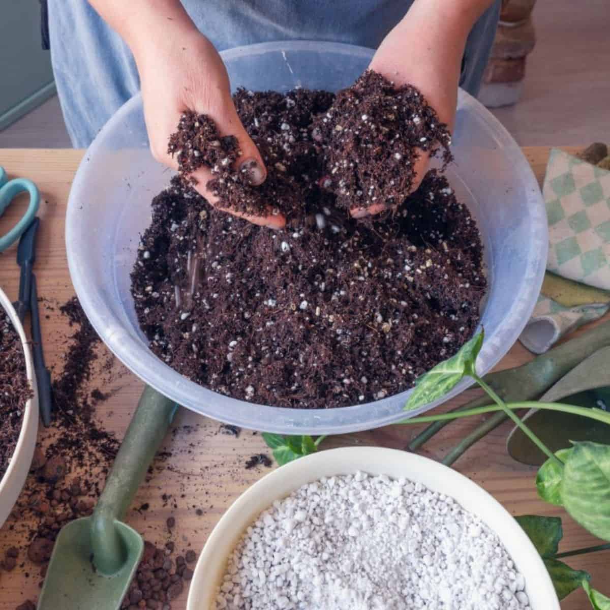 Hands mixing suculent soil in a container.