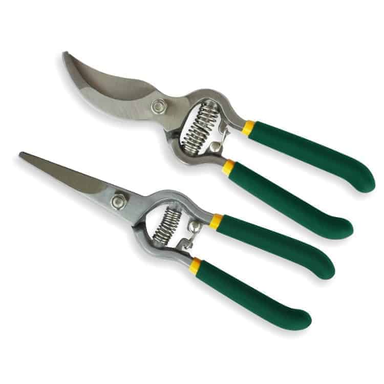 Pair of gardening shears.