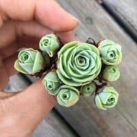 rose succulents from Pinterest