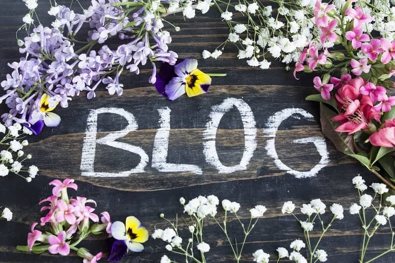 Top 40 Gardening Blogs You Need To Know About