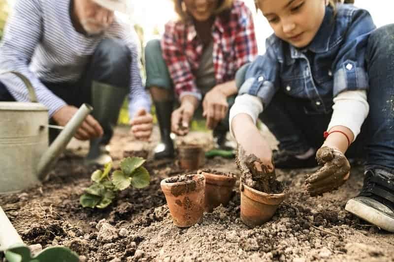 Family planting new plants in pots.