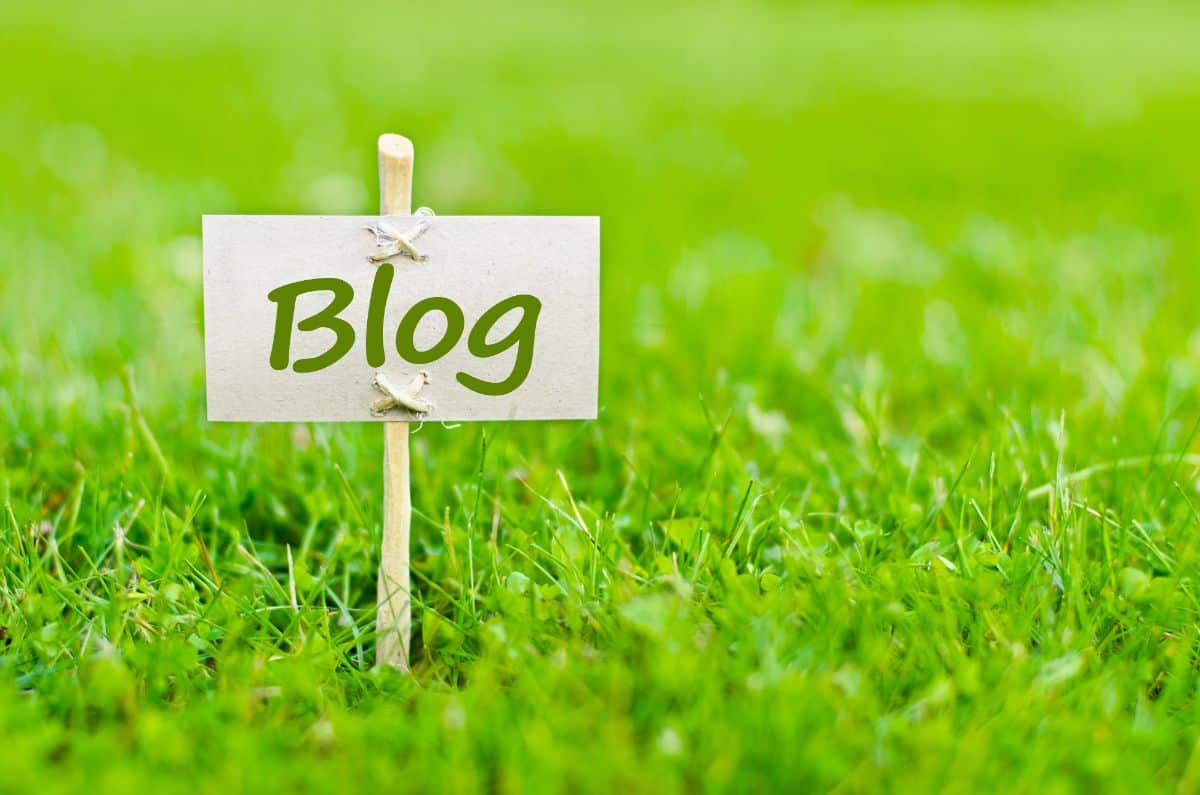 Blog sign in fresh green grass.