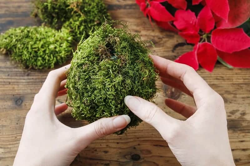 Hands holding mesh-covered sphagnum moss wreath.