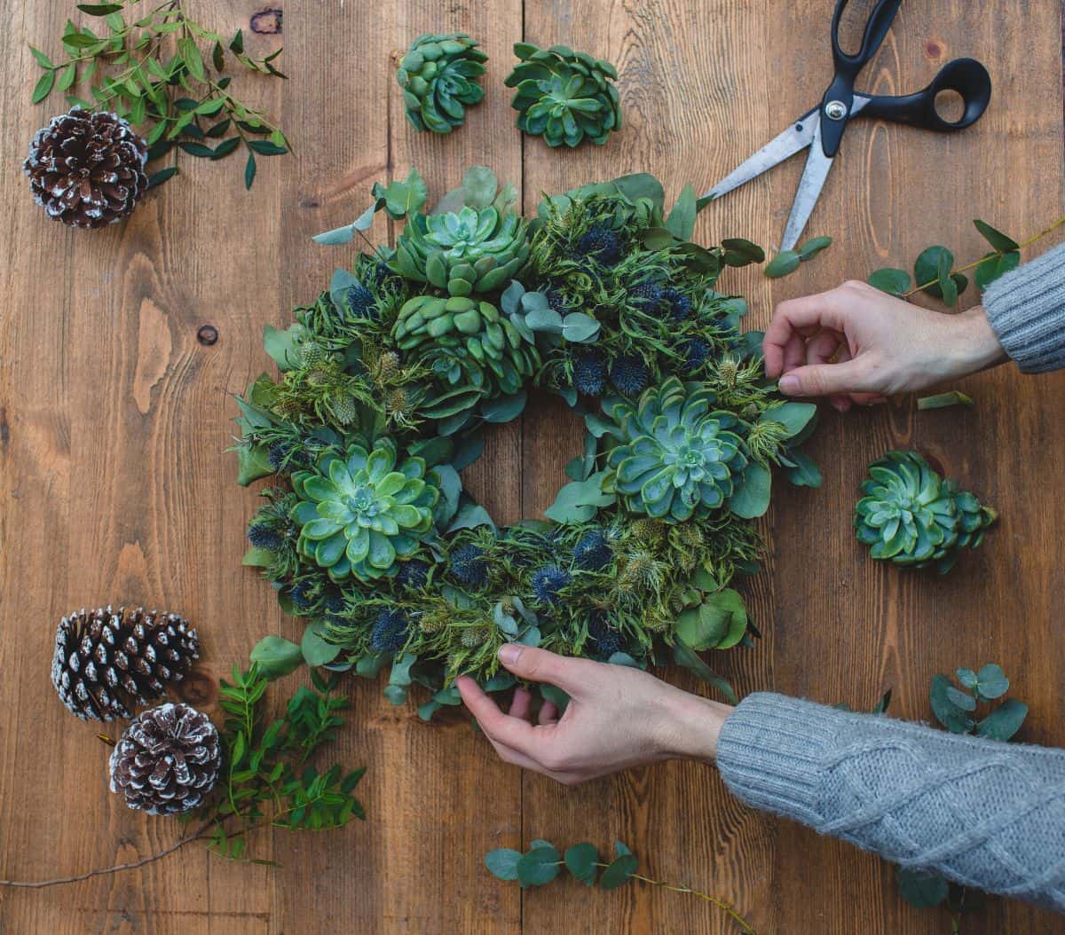 Gardener making succulent wreath on the wooden table.