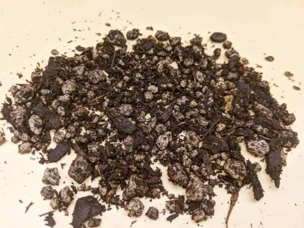 Cactus succulent soil.