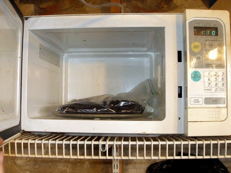 Sterilizing soil in a microwave.