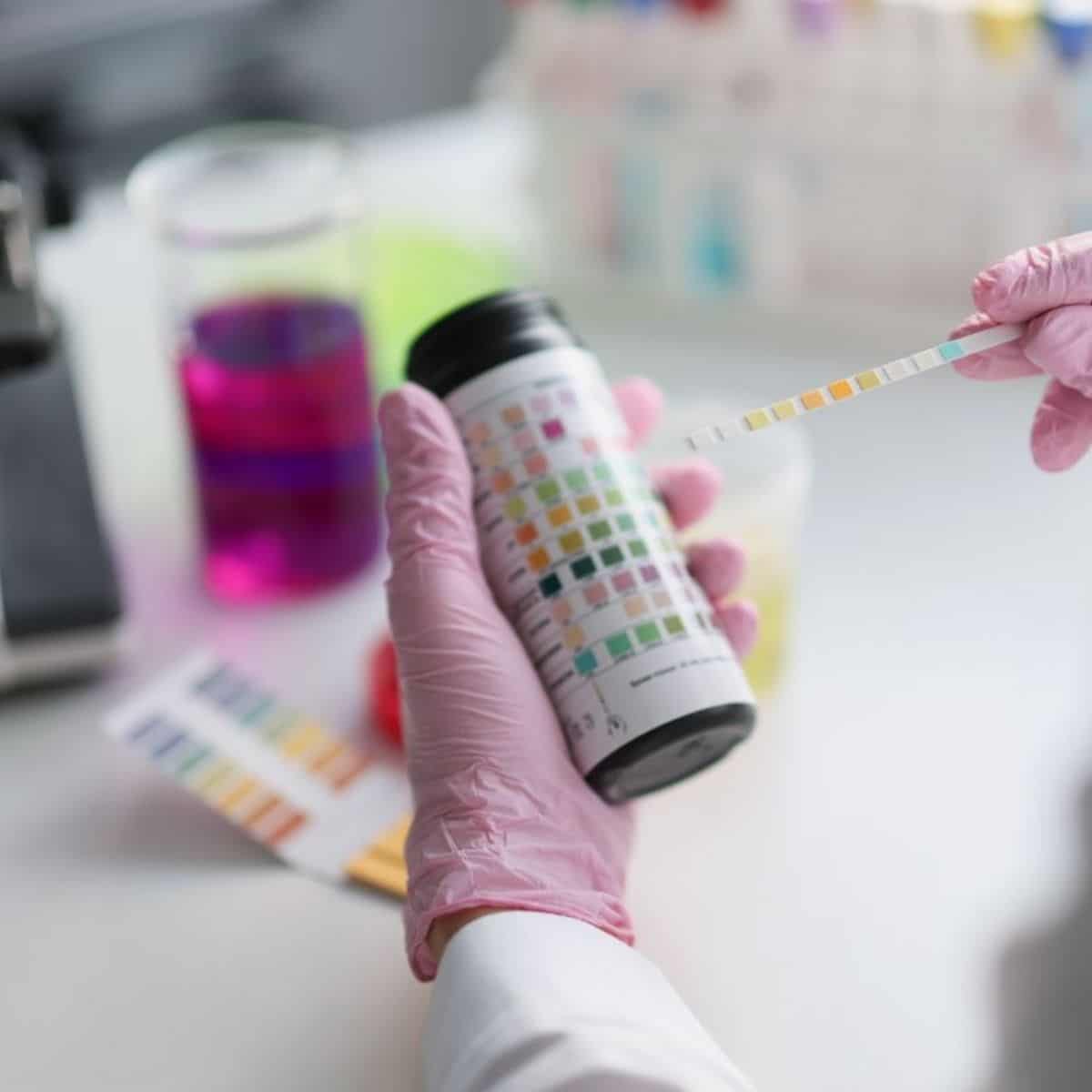 Scientist holding a soil sample.