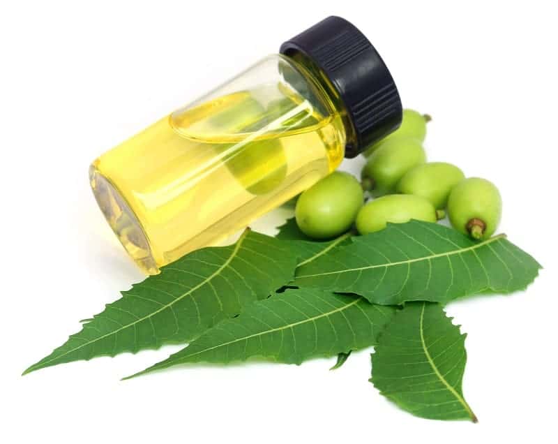 Neem oil in a glass jar with fruits and leaves on white background.