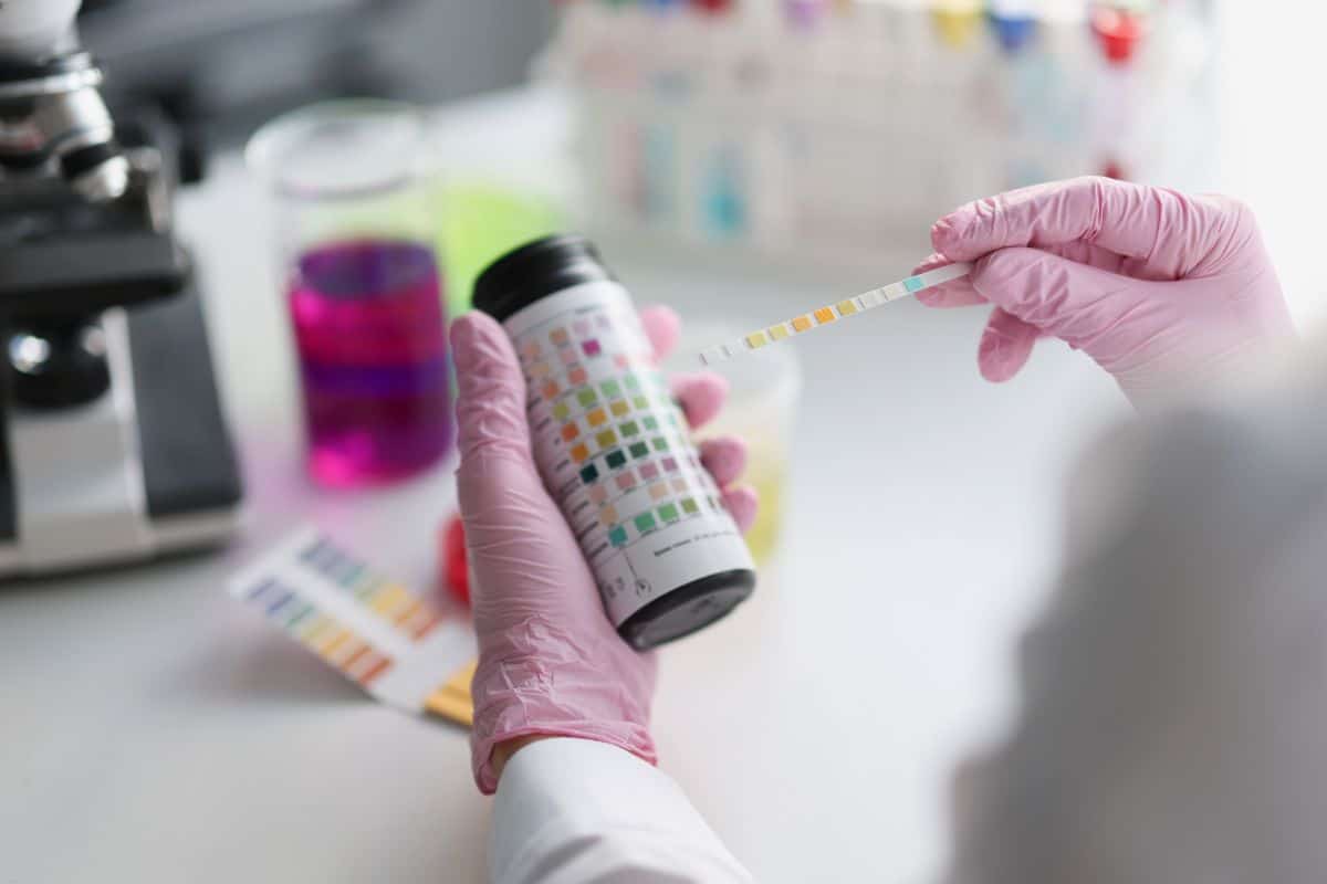 Scientist holding a soil sample.