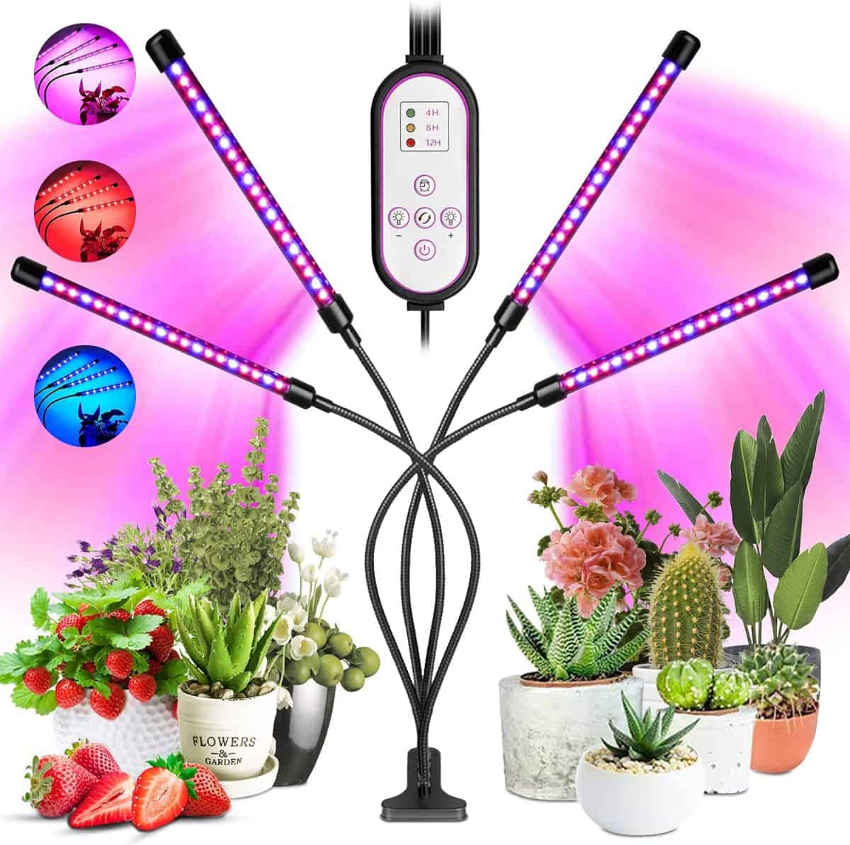 Artificial LED grow light.